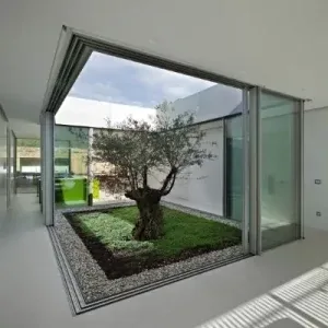 internal glass courtyard creating biophilic design in modern home