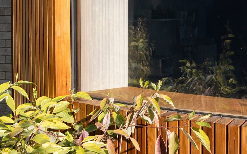 a close up shot of a curved frameless window in a timber clad window opening